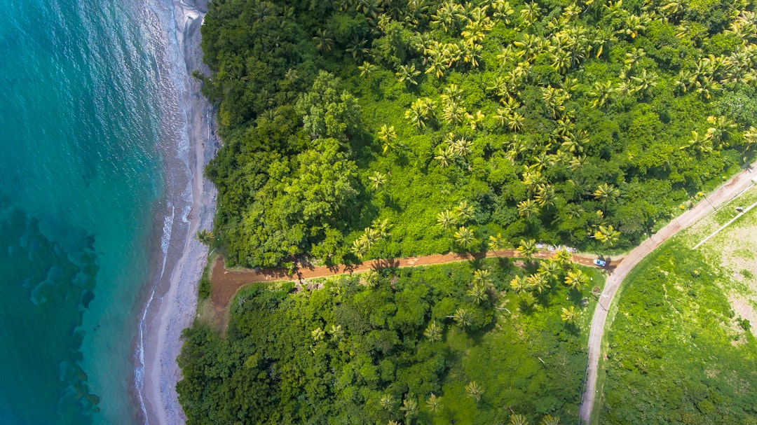 découvrez comment adopter un voyage durable en harmonie avec la nature. apprenez des astuces pour réduire votre empreinte carbone tout en explorant des destinations écologiques, favorisant le tourisme responsable et respectueux des cultures locales.