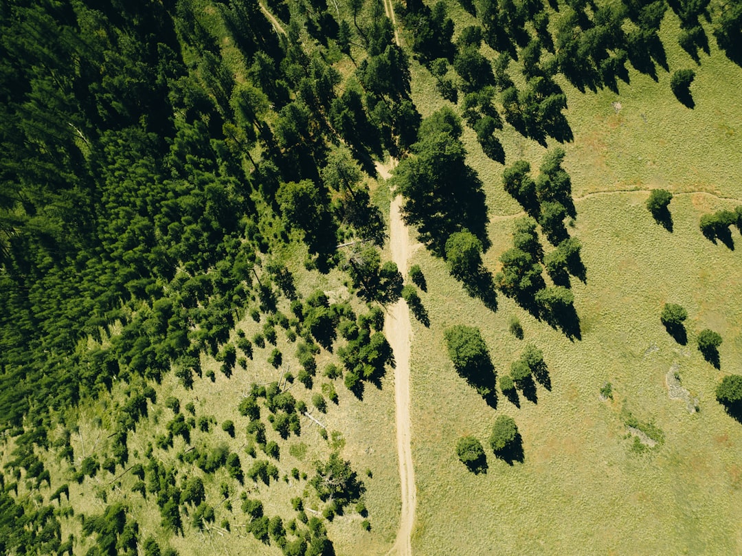 découvrez l'empreinte carbone, un indicateur essentiel de l'impact environnemental de nos activités. apprenez à évaluer et à réduire votre empreinte carbonique pour contribuer à un avenir plus durable.