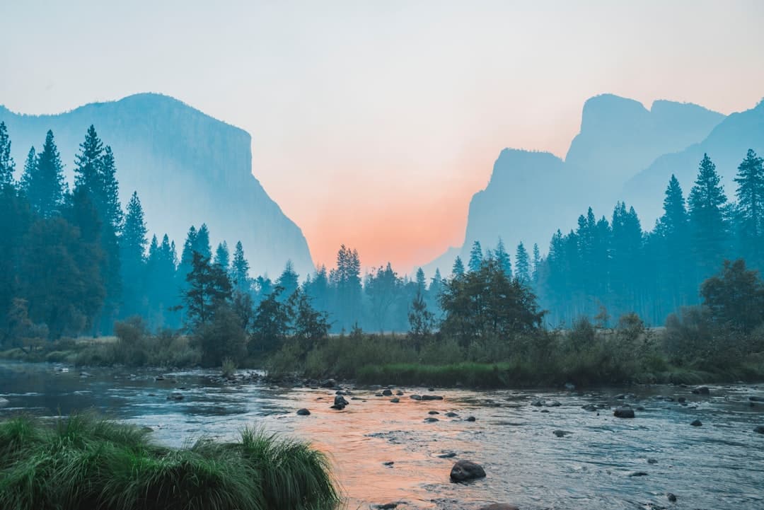 découvrez la beauté et la diversité de la nature à travers des paysages époustouflants, des écosystèmes fascinants et des espèces uniques. explorez les merveilles de notre planète et apprenez comment préserver cet héritage précieux.